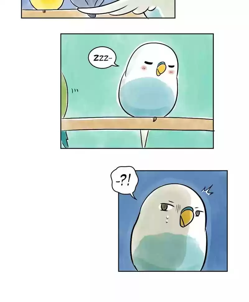 A Budgie's Life Chapter 138: Ep.138: