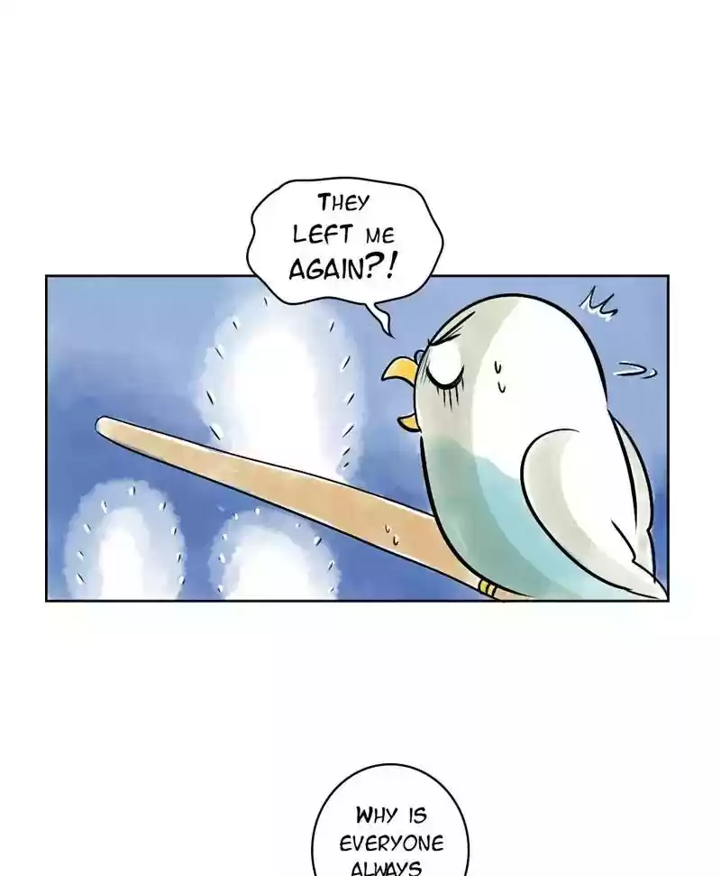 A Budgie's Life Chapter 138: Ep.138: