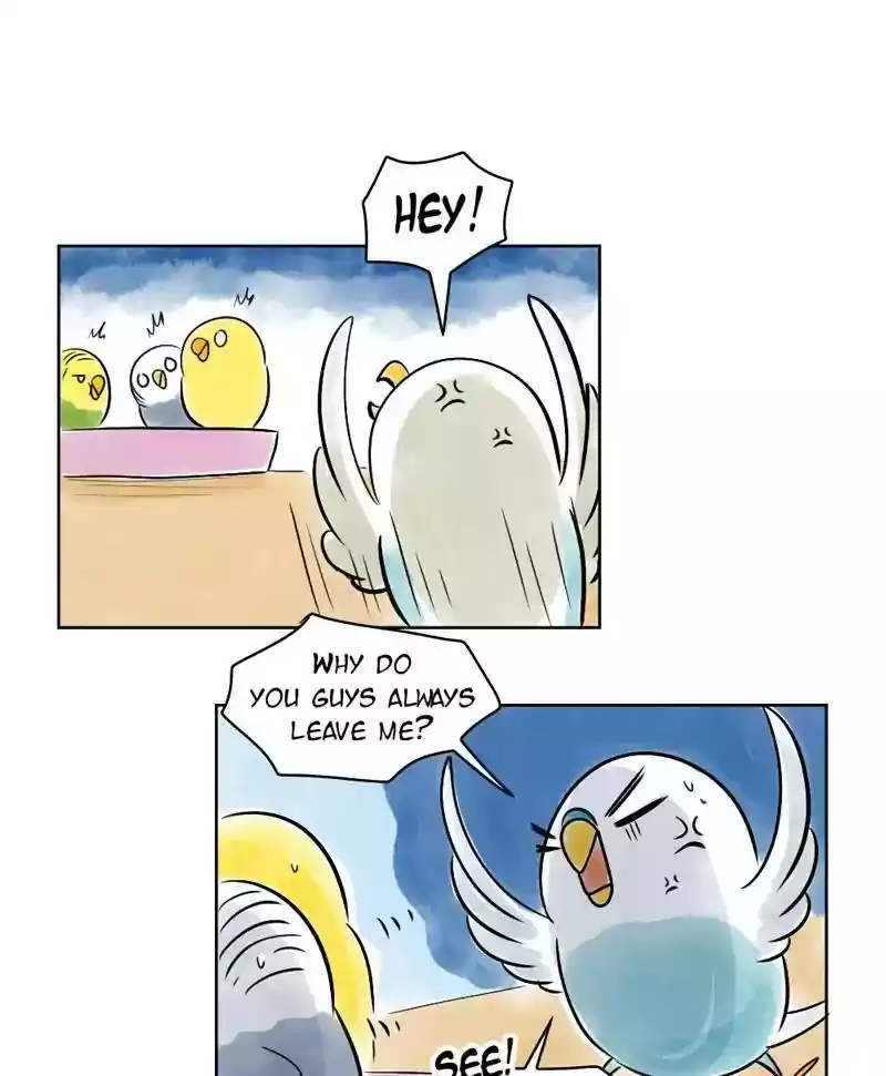 A Budgie's Life Chapter 138: Ep.138: