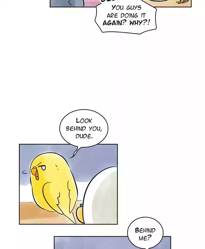 A Budgie's Life Chapter 138: Ep.138: