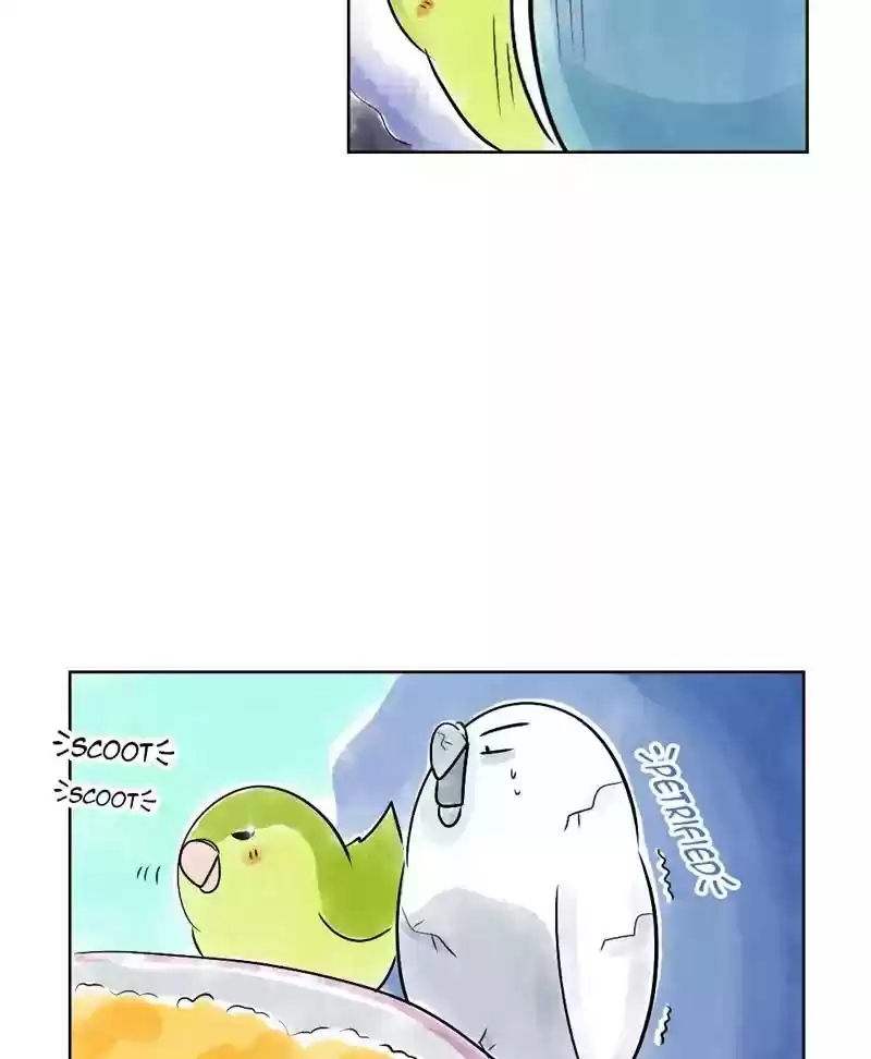 A Budgie's Life Chapter 138: Ep.138: