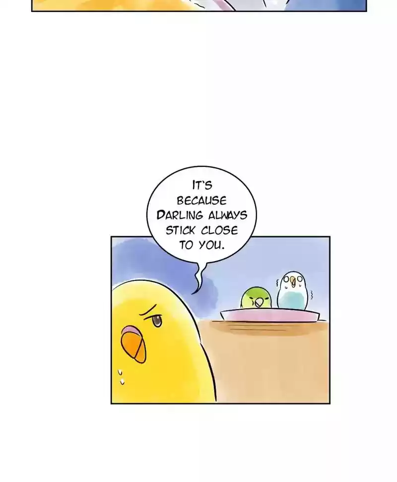 A Budgie's Life Chapter 138: Ep.138: