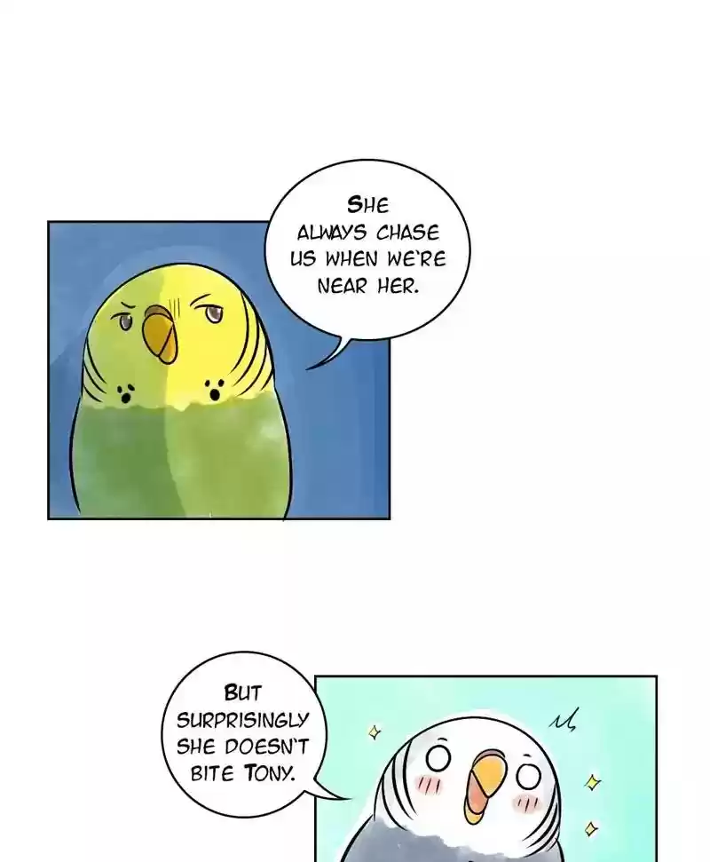 A Budgie's Life Chapter 138: Ep.138: