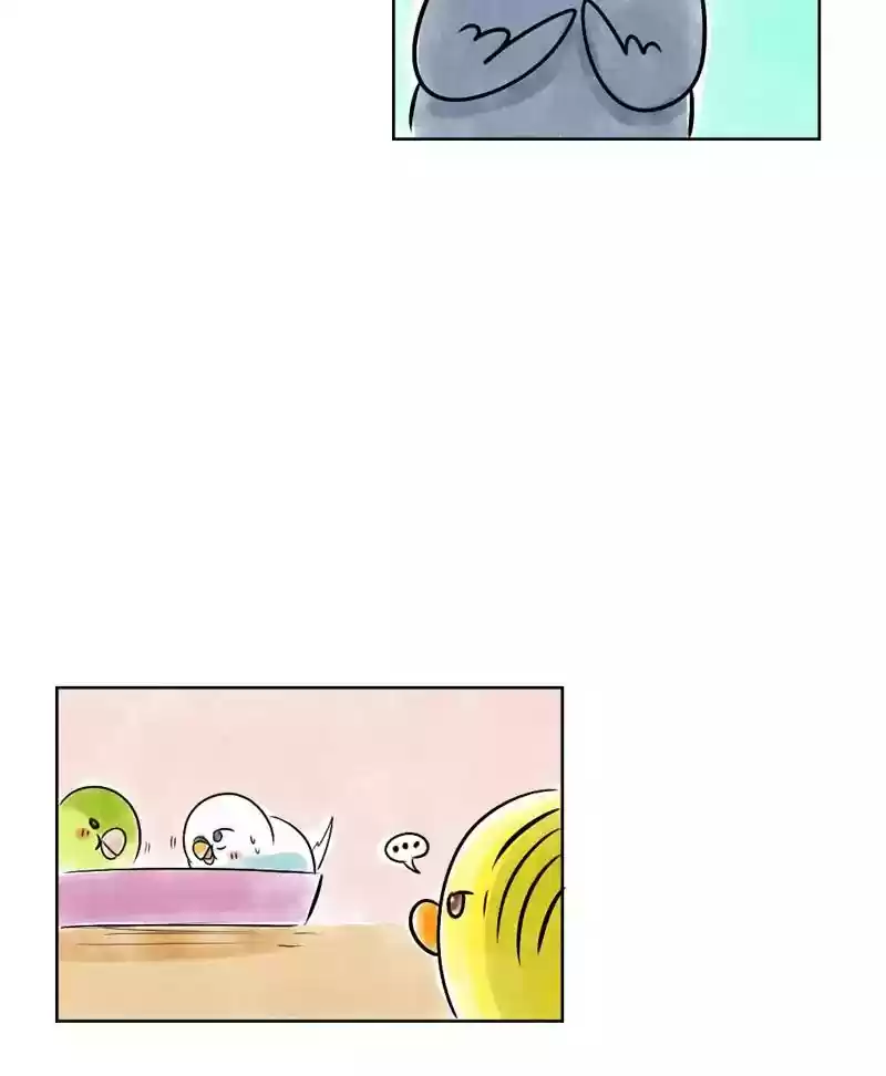 A Budgie's Life Chapter 138: Ep.138: