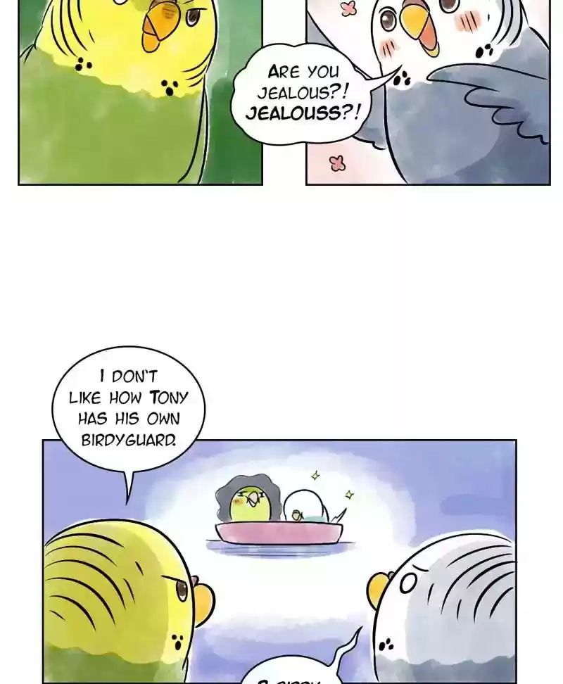 A Budgie's Life Chapter 138: Ep.138: