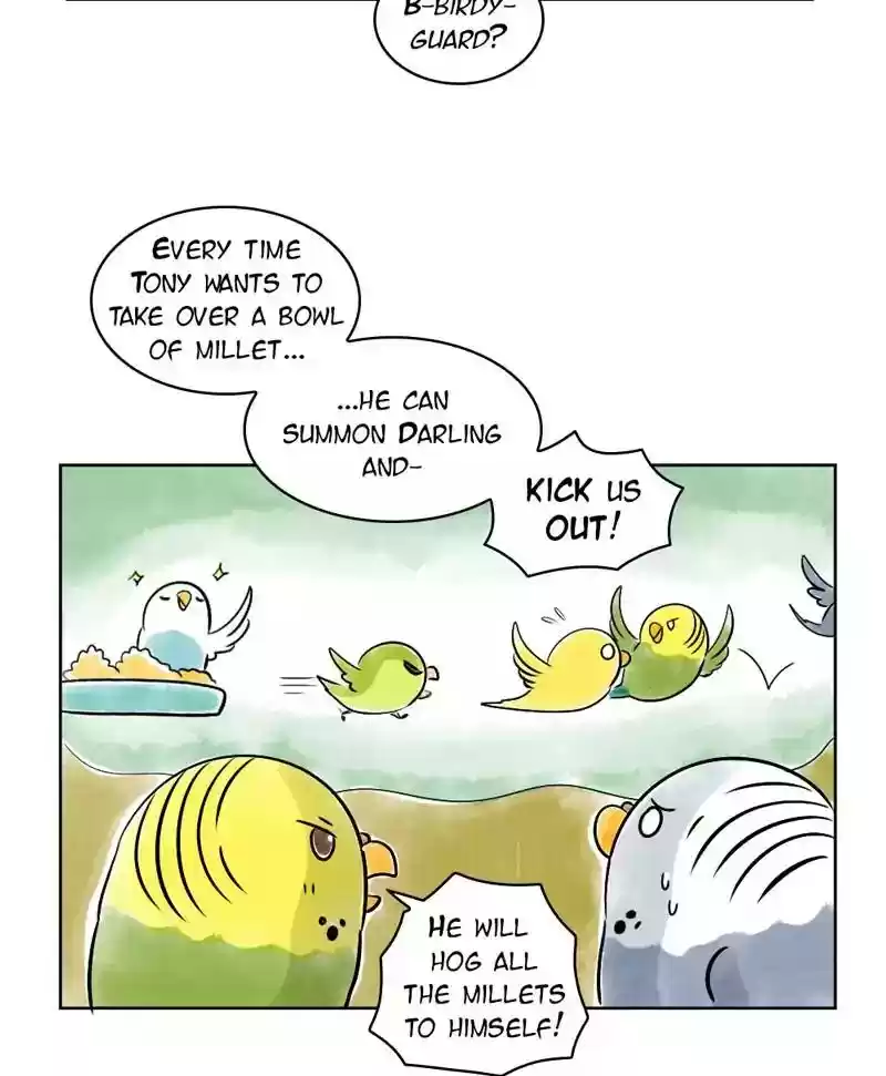 A Budgie's Life Chapter 138: Ep.138: