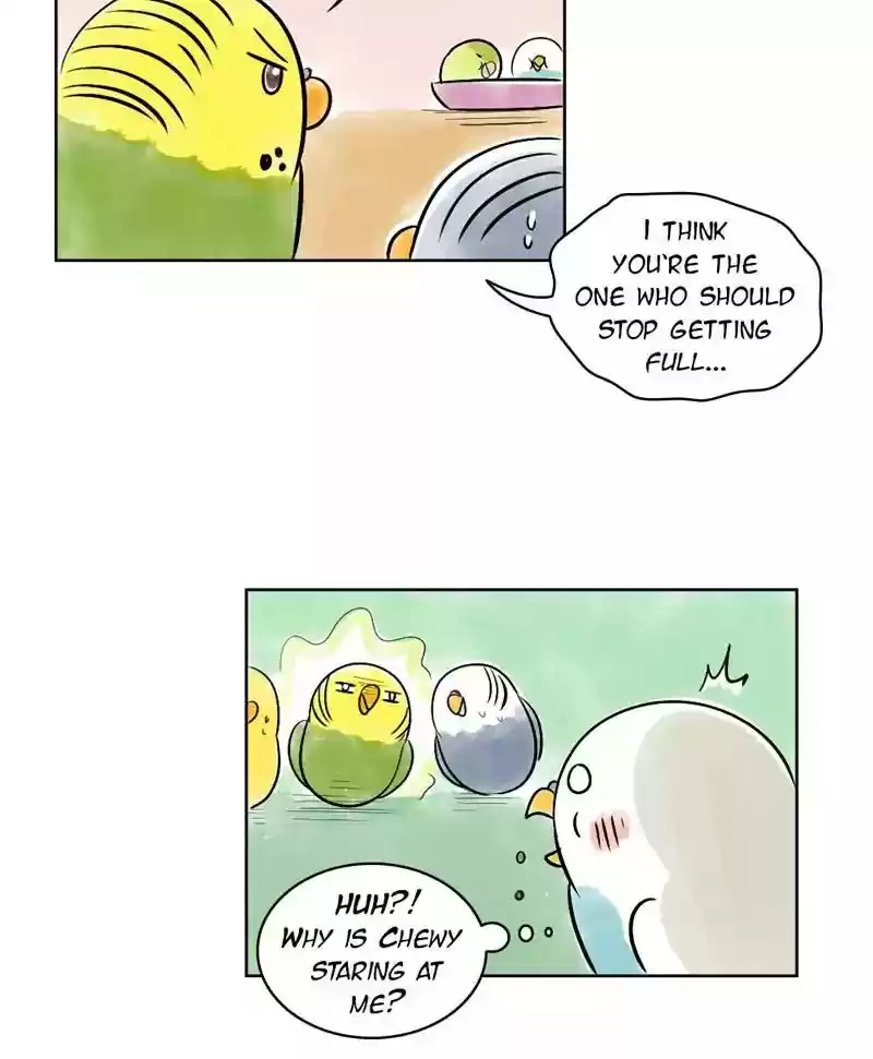 A Budgie's Life Chapter 138: Ep.138: