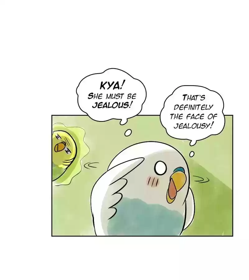 A Budgie's Life Chapter 138: Ep.138: