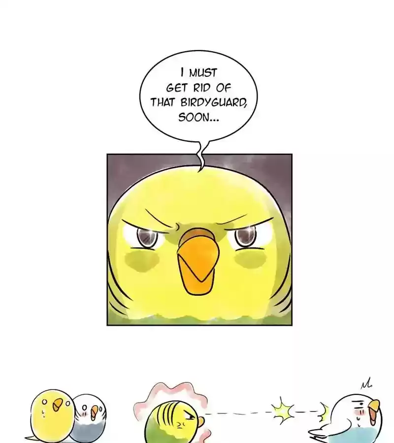 A Budgie's Life Chapter 138: Ep.138: