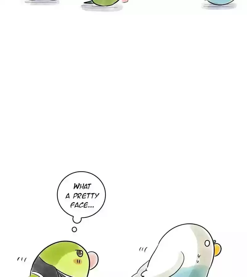 A Budgie's Life Chapter 138: Ep.138: