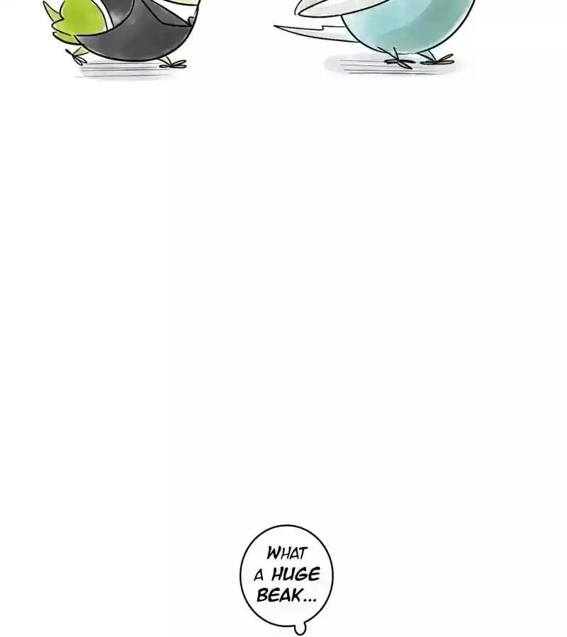 A Budgie's Life Chapter 138: Ep.138: