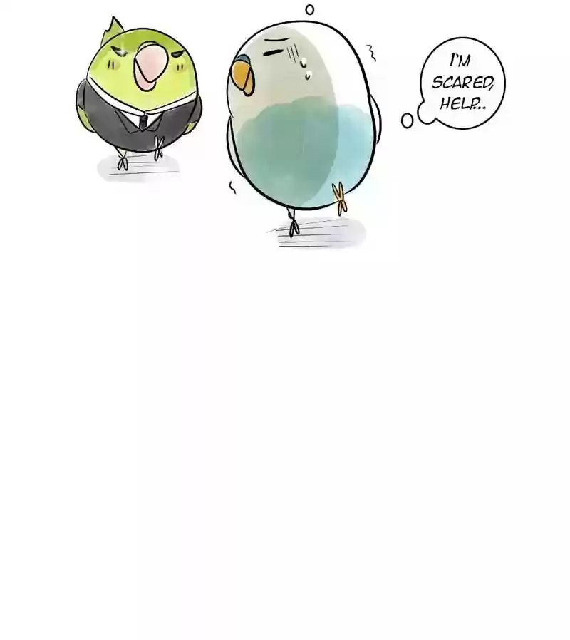 A Budgie's Life Chapter 138: Ep.138: