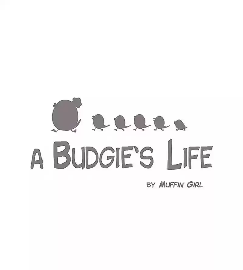 A Budgie's Life Chapter 139: Ep.139: