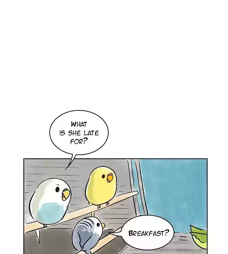 A Budgie's Life Chapter 139: Ep.139: