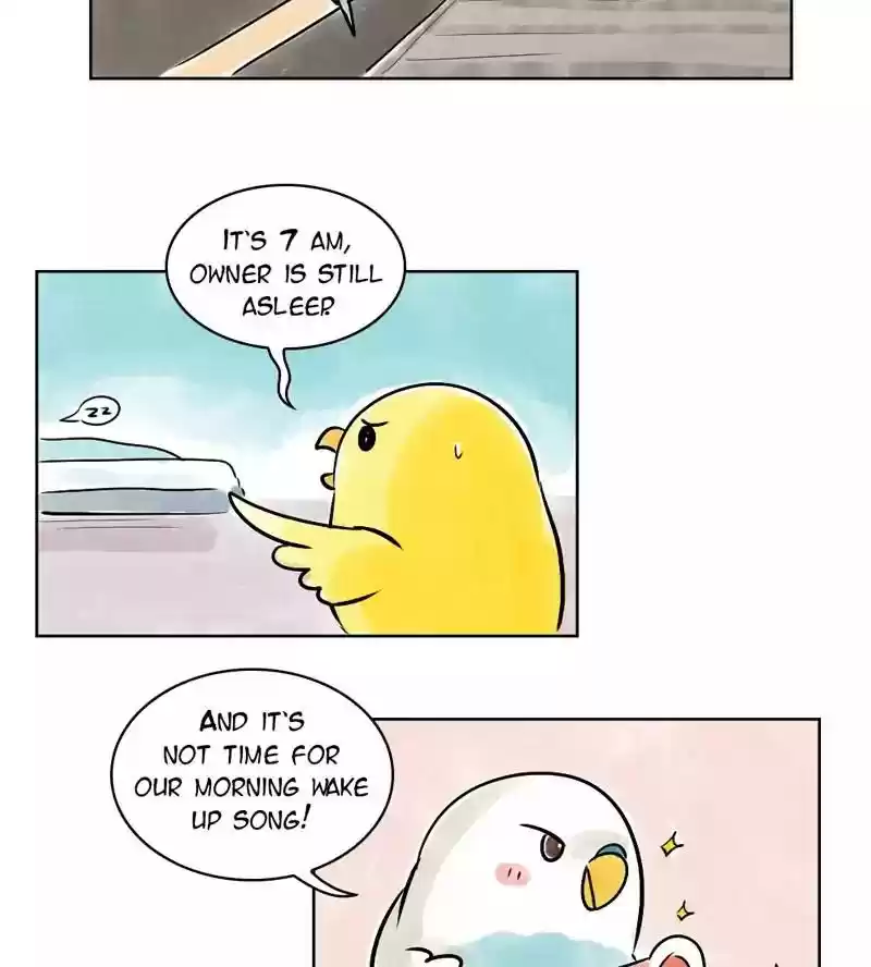 A Budgie's Life Chapter 139: Ep.139: