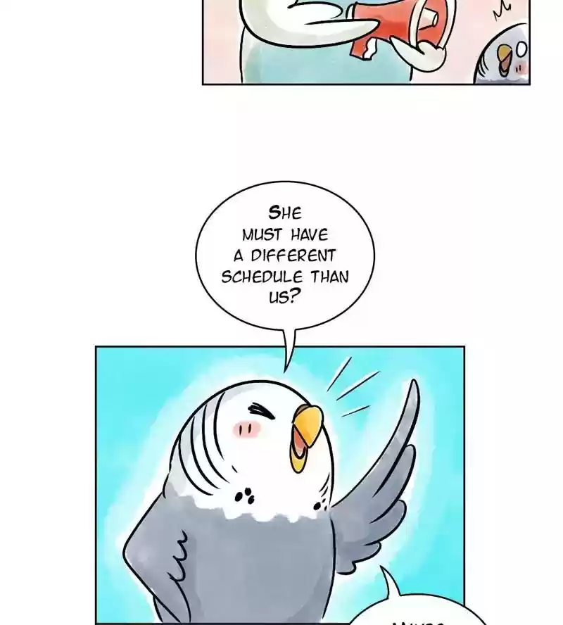 A Budgie's Life Chapter 139: Ep.139:
