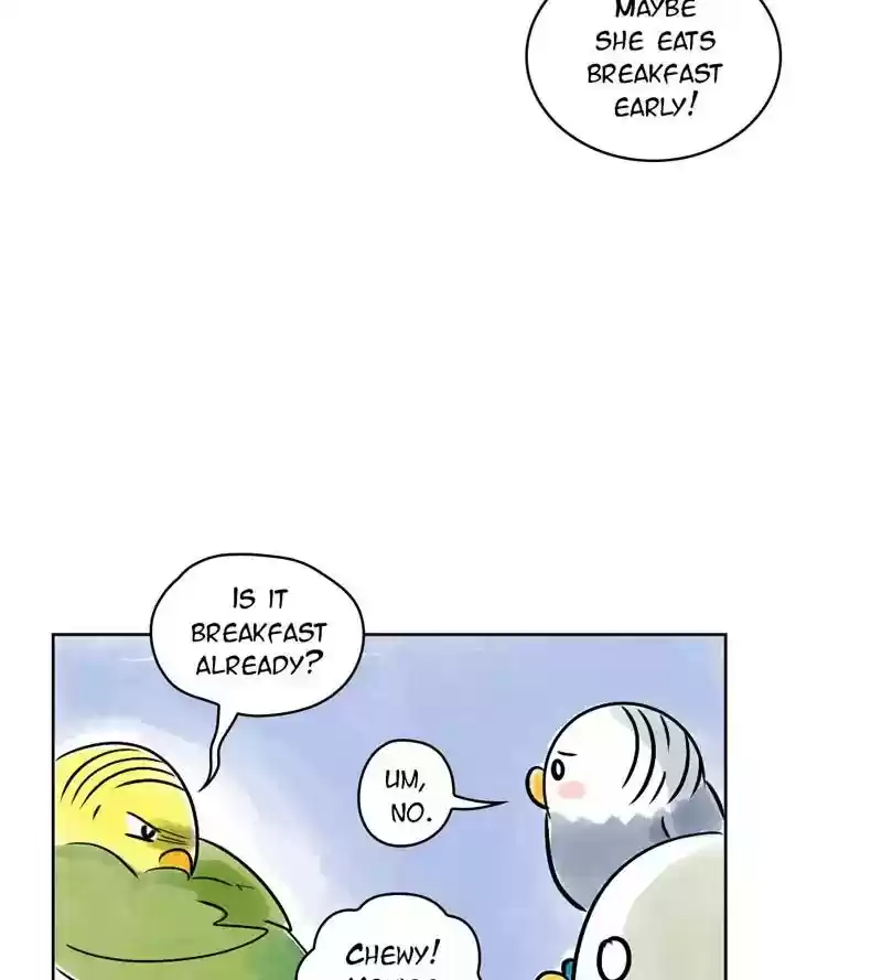 A Budgie's Life Chapter 139: Ep.139: