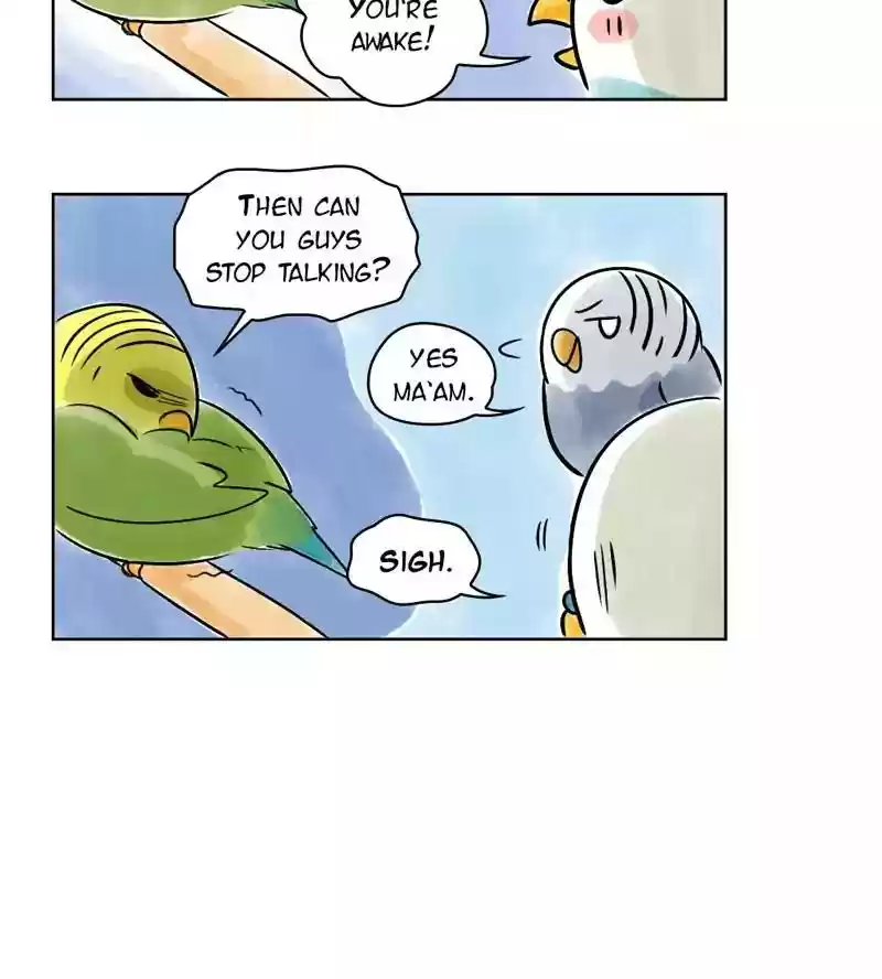 A Budgie's Life Chapter 139: Ep.139: