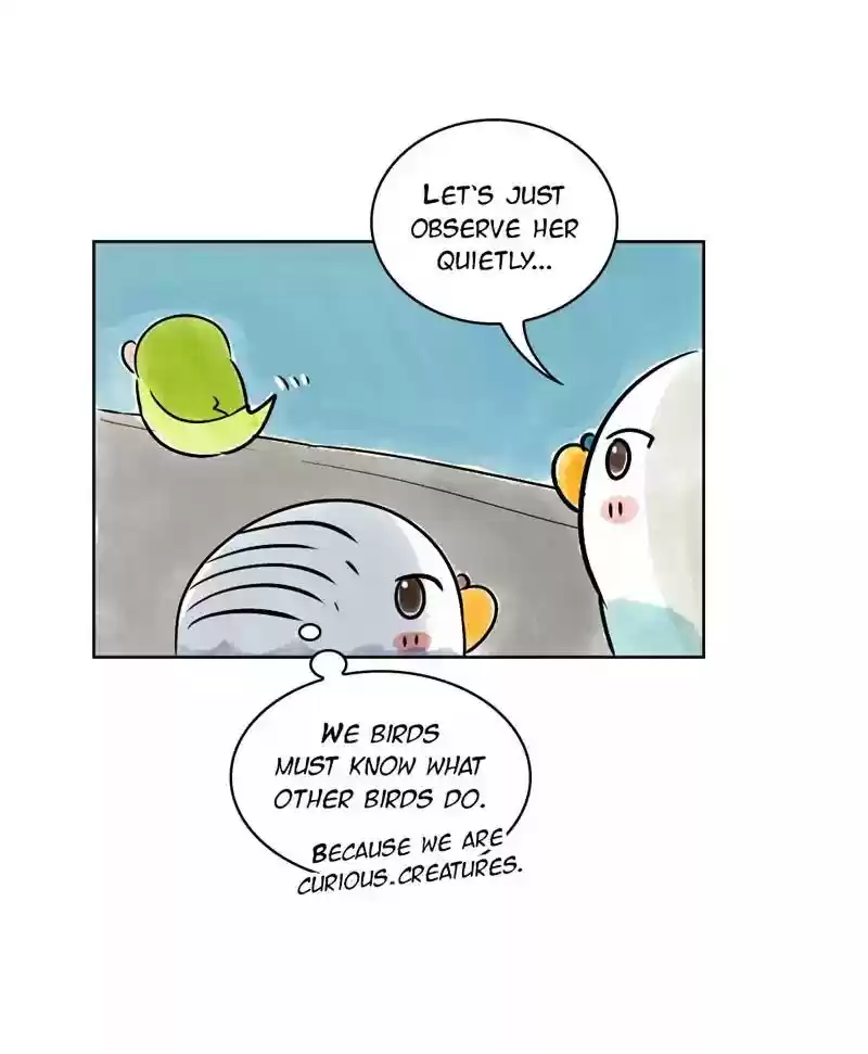 A Budgie's Life Chapter 139: Ep.139: