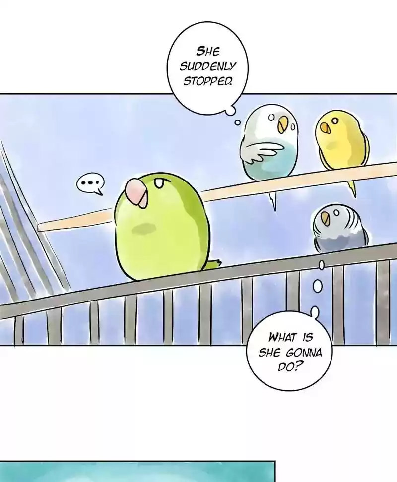 A Budgie's Life Chapter 139: Ep.139: