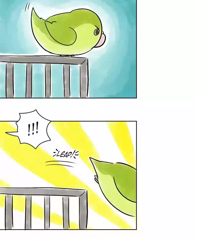 A Budgie's Life Chapter 139: Ep.139: