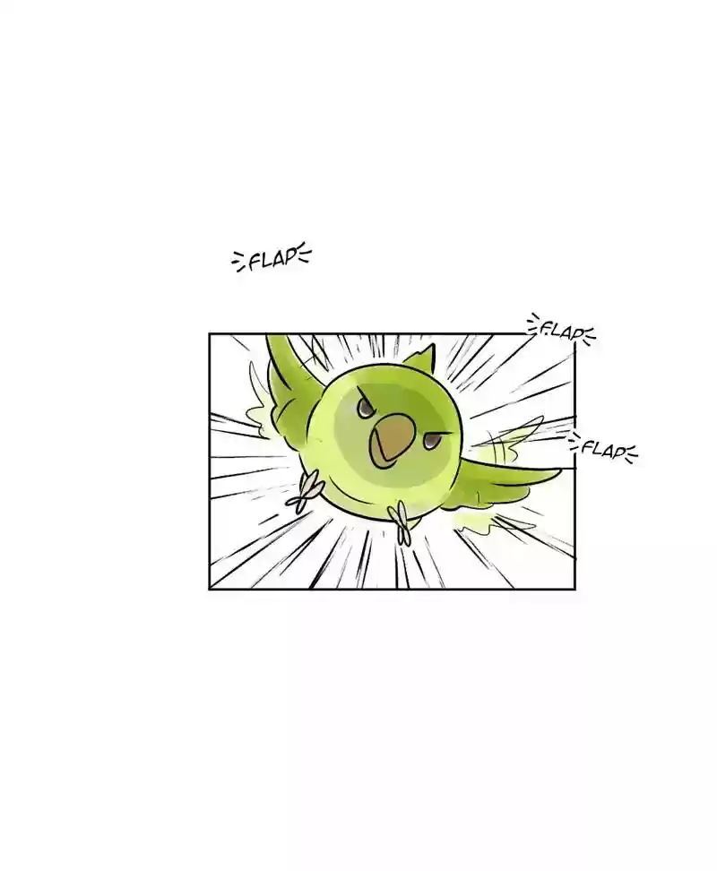 A Budgie's Life Chapter 139: Ep.139: