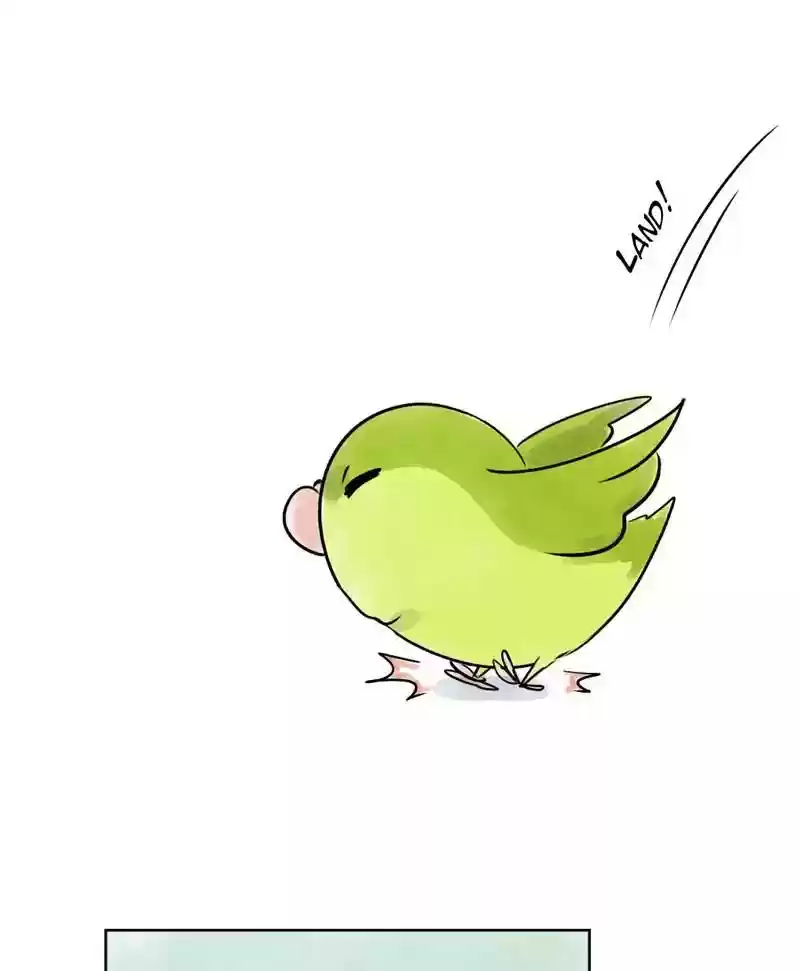 A Budgie's Life Chapter 139: Ep.139: