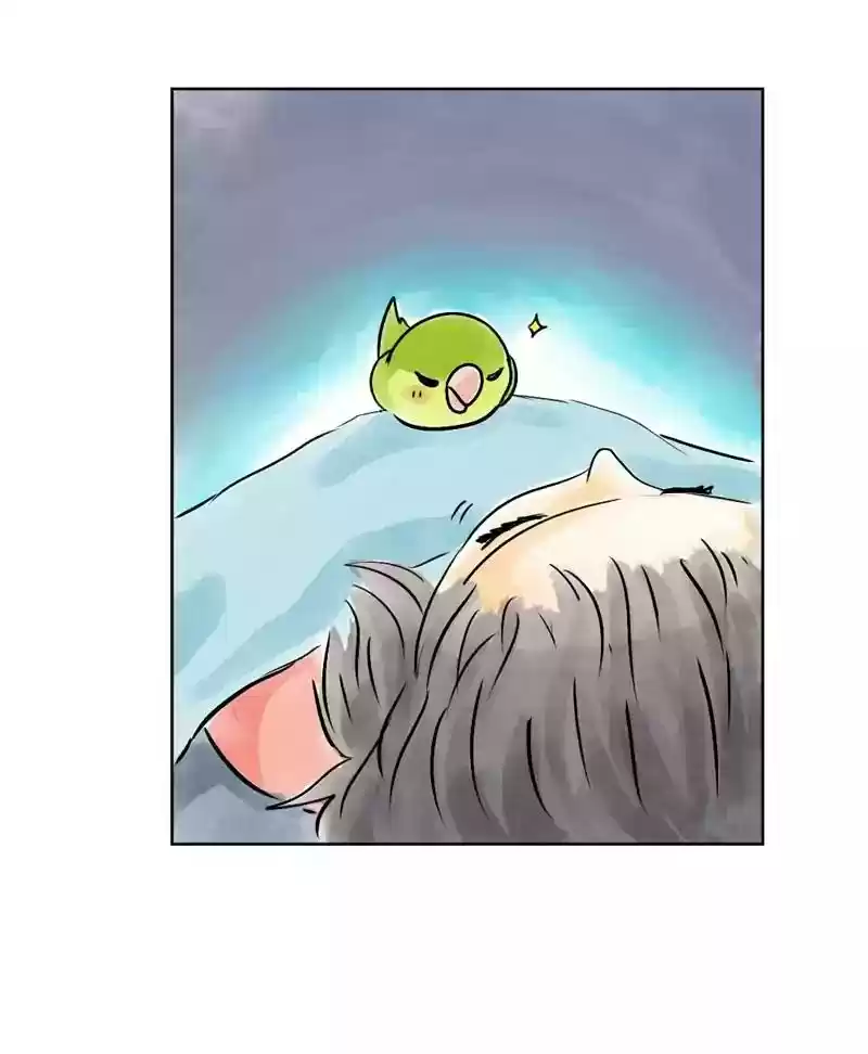 A Budgie's Life Chapter 139: Ep.139: