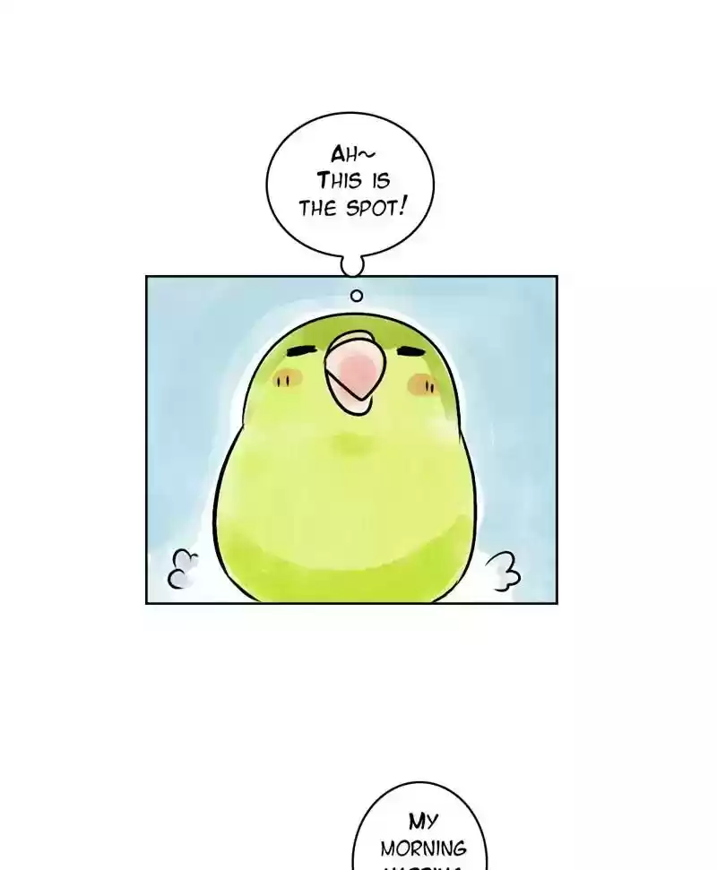 A Budgie's Life Chapter 139: Ep.139: