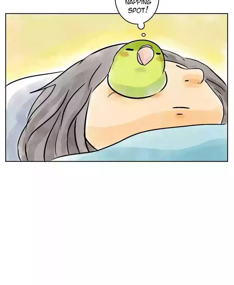 A Budgie's Life Chapter 139: Ep.139: