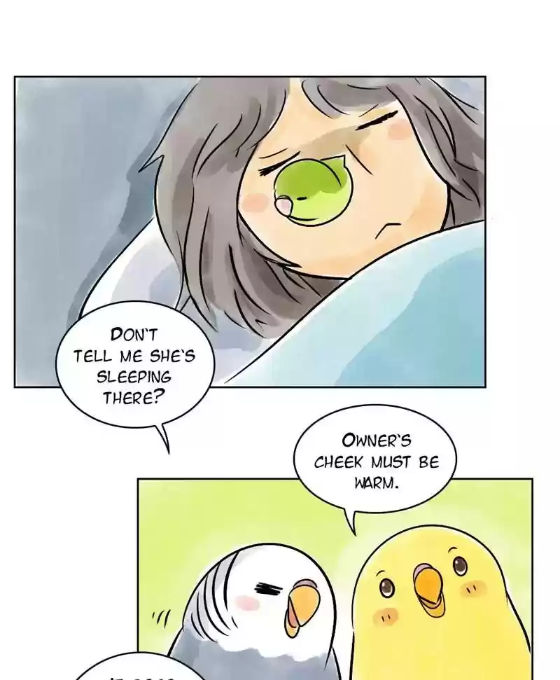 A Budgie's Life Chapter 139: Ep.139: