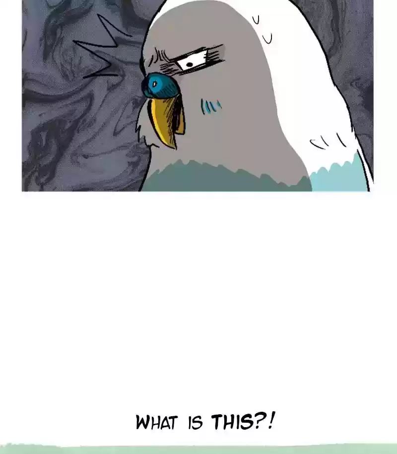 A Budgie's Life Chapter 14: Ep.14: