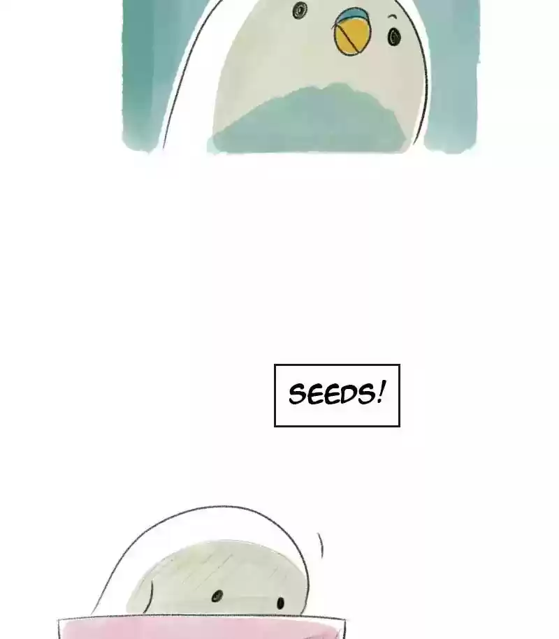 A Budgie's Life Chapter 14: Ep.14: