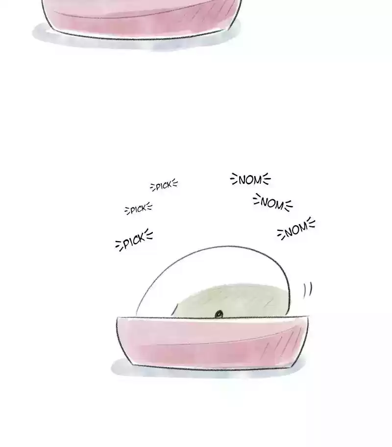 A Budgie's Life Chapter 14: Ep.14: