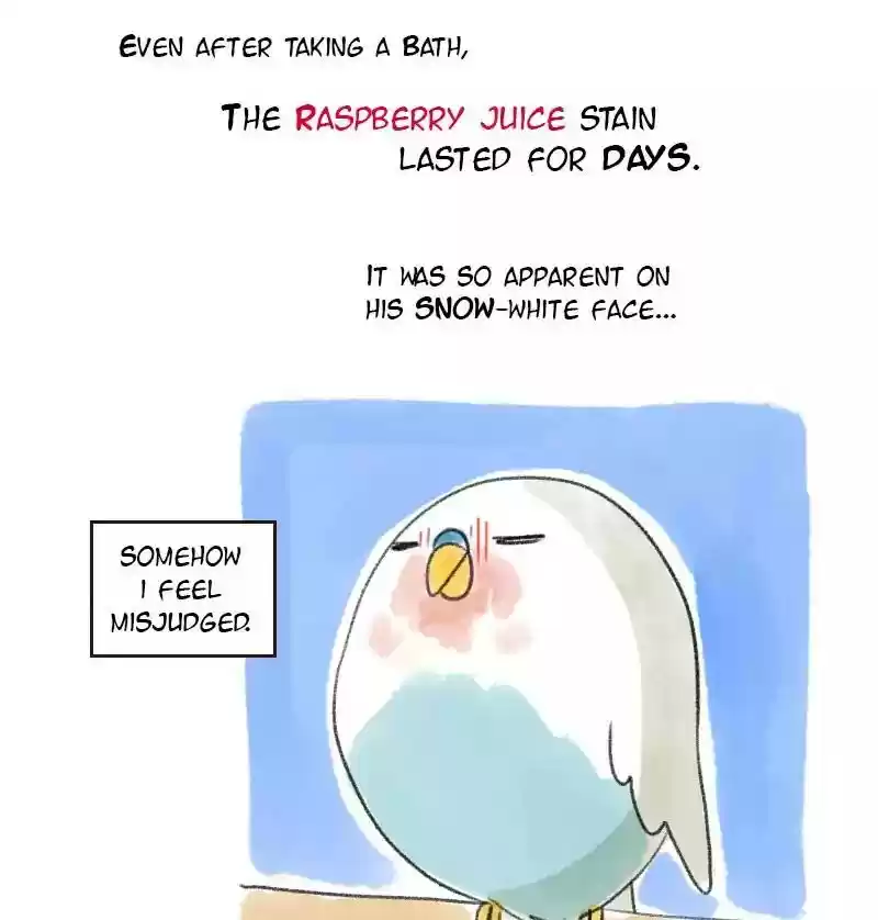 A Budgie's Life Chapter 14: Ep.14: