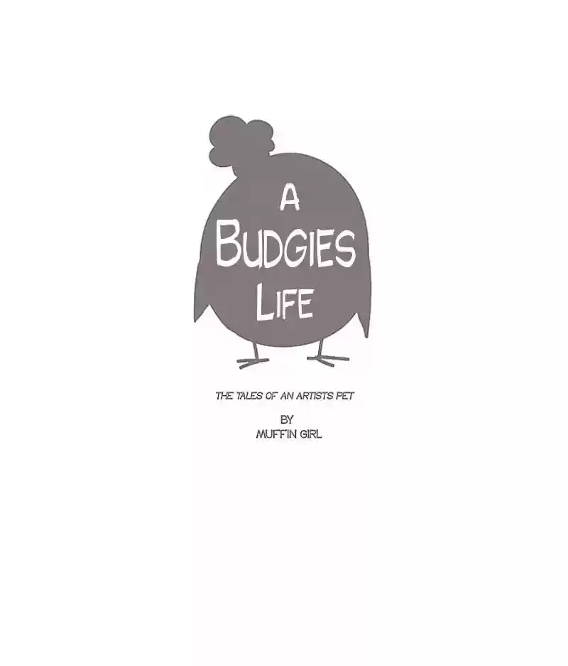 A Budgie's Life Chapter 14: Ep.14: