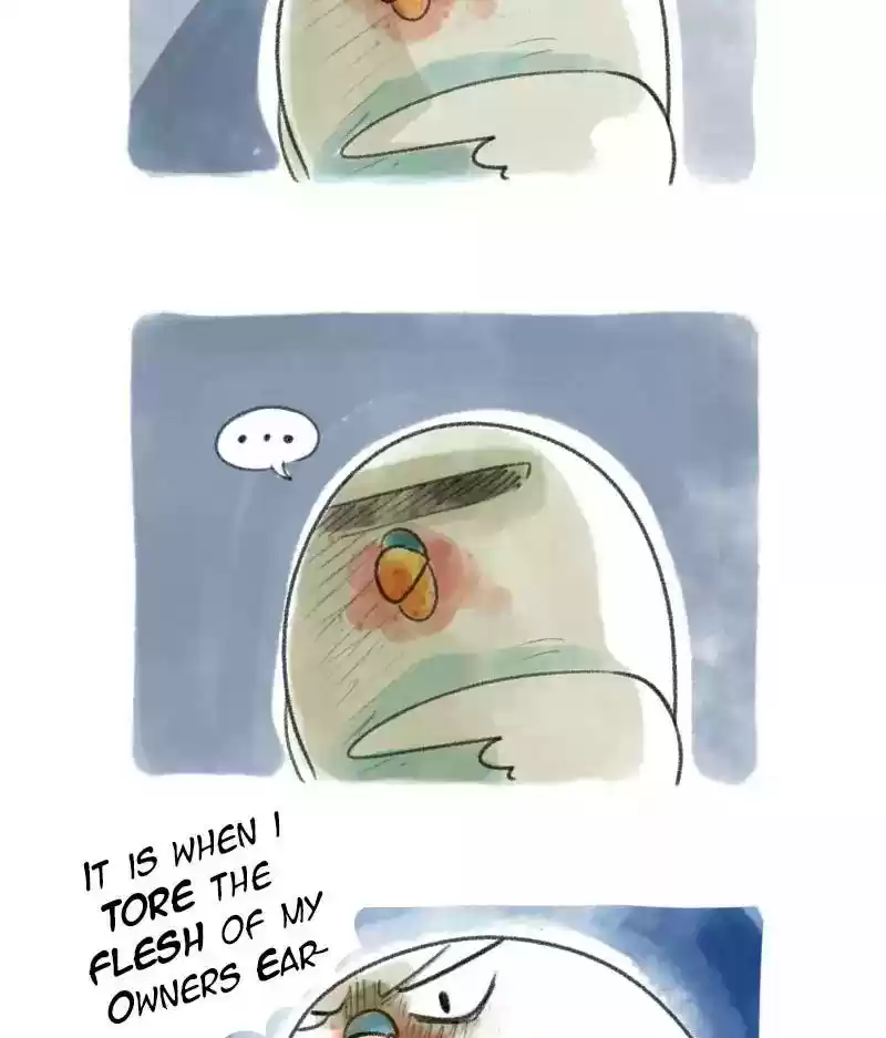 A Budgie's Life Chapter 14: Ep.14: