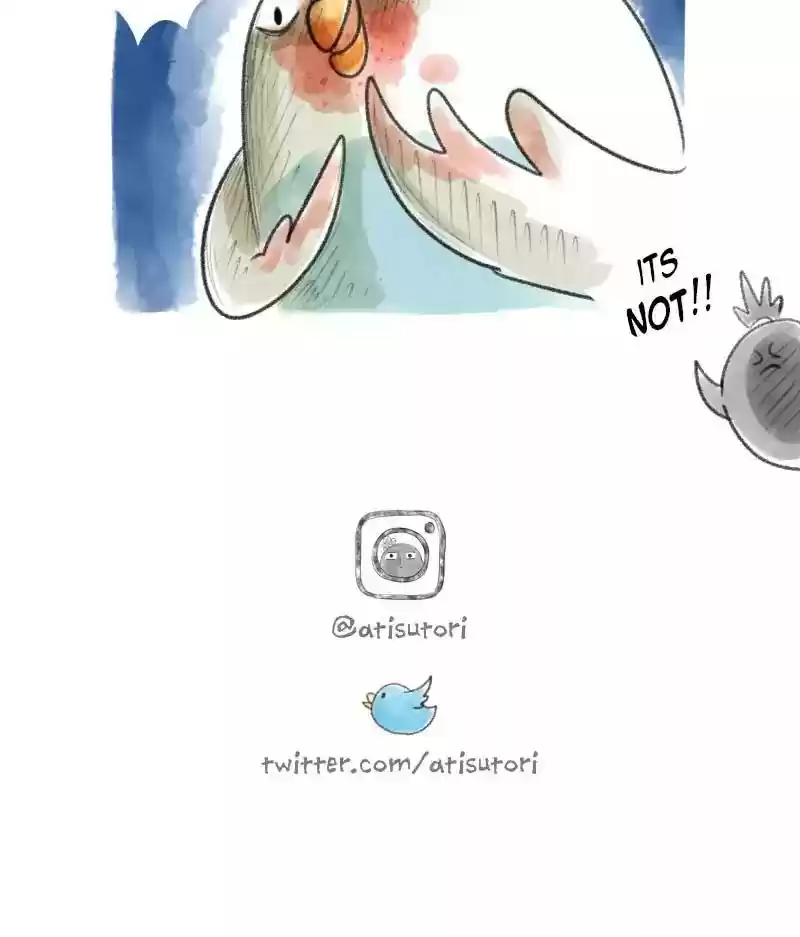 A Budgie's Life Chapter 14: Ep.14: