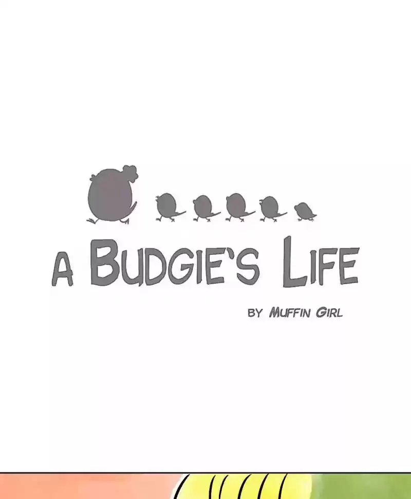 A Budgie's Life Chapter 140: Ep.140: