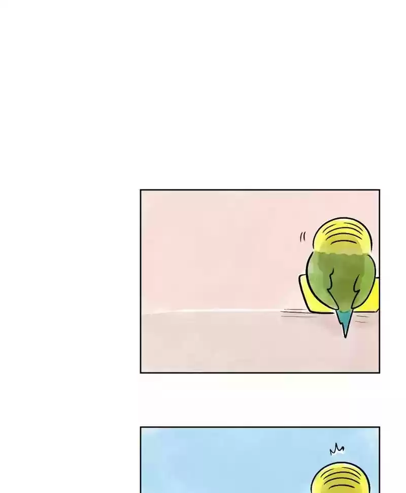 A Budgie's Life Chapter 140: Ep.140: