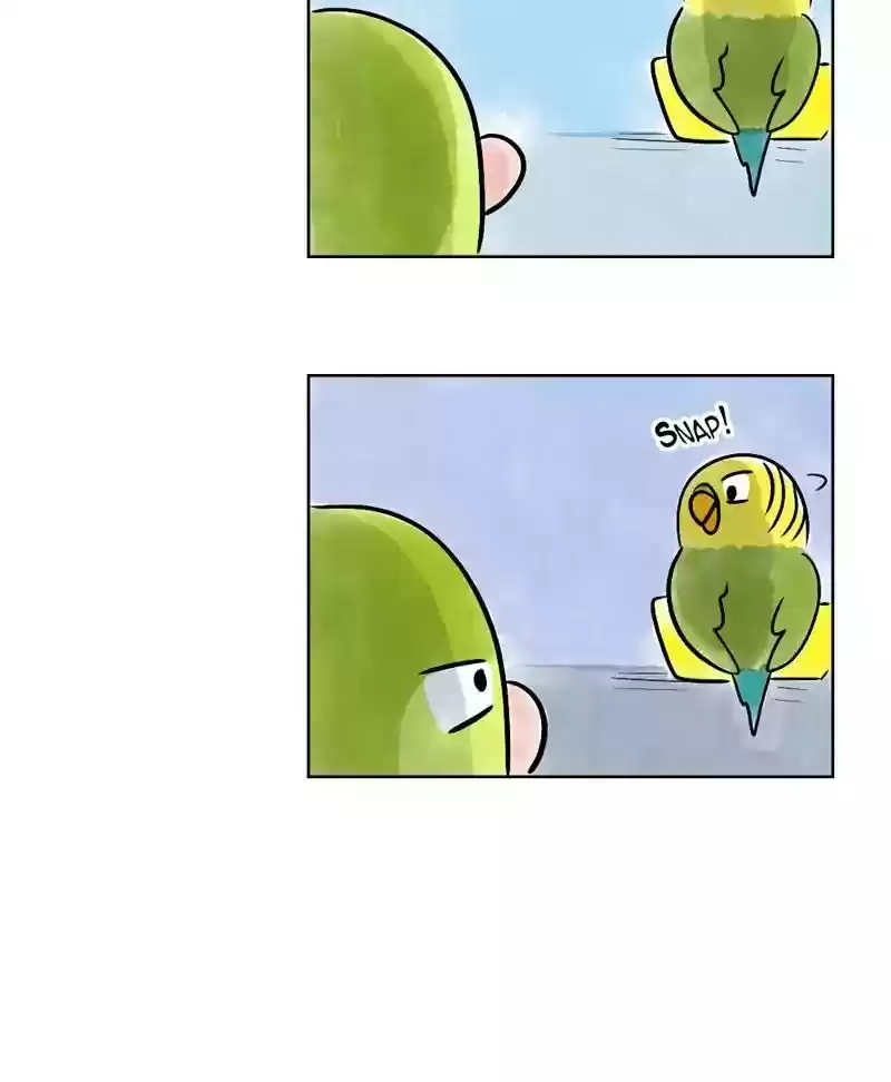 A Budgie's Life Chapter 140: Ep.140: