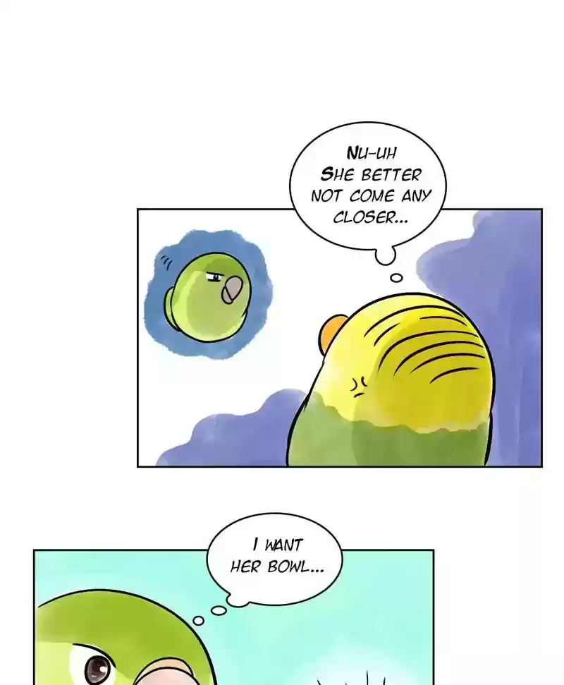 A Budgie's Life Chapter 140: Ep.140: