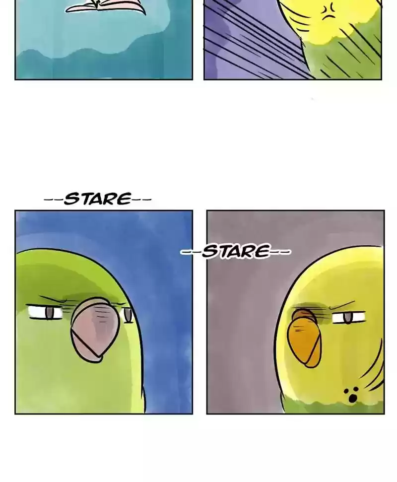 A Budgie's Life Chapter 140: Ep.140: