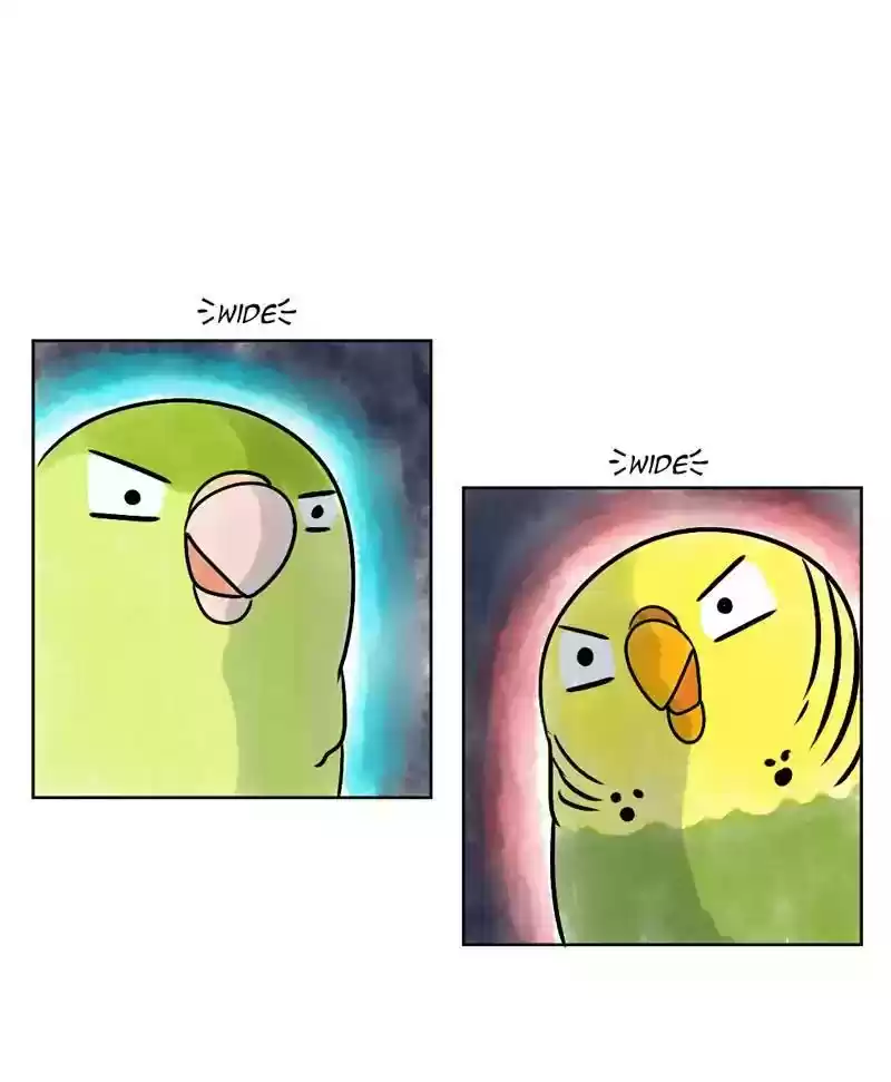 A Budgie's Life Chapter 140: Ep.140: