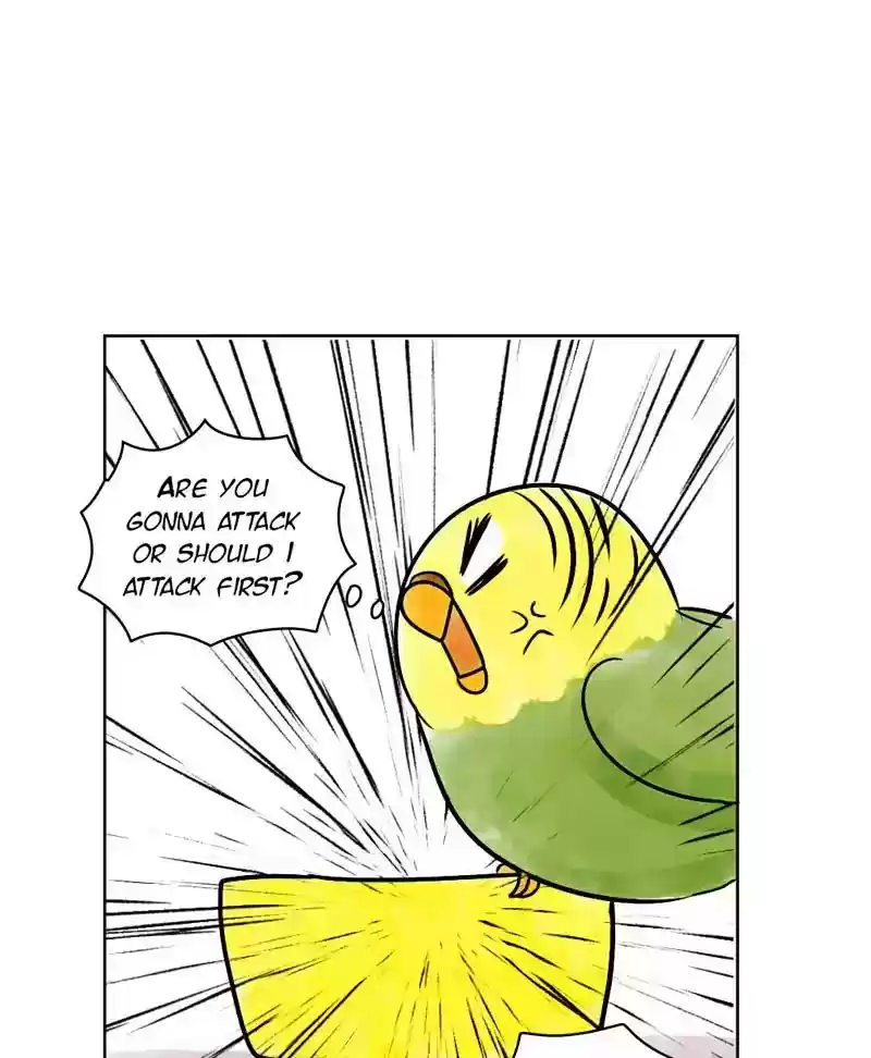 A Budgie's Life Chapter 140: Ep.140:
