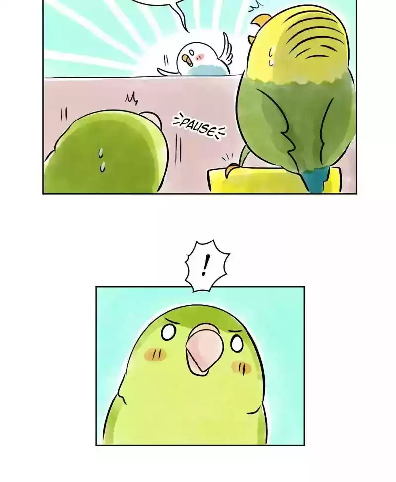 A Budgie's Life Chapter 140: Ep.140: