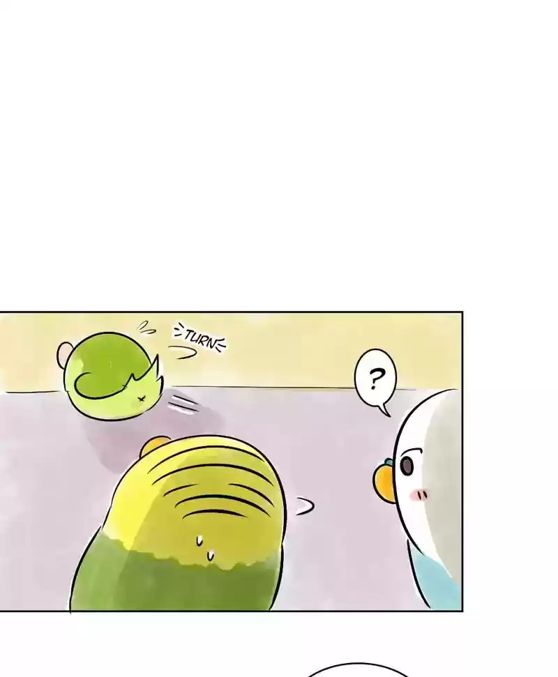 A Budgie's Life Chapter 140: Ep.140:
