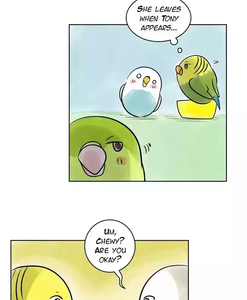 A Budgie's Life Chapter 140: Ep.140:
