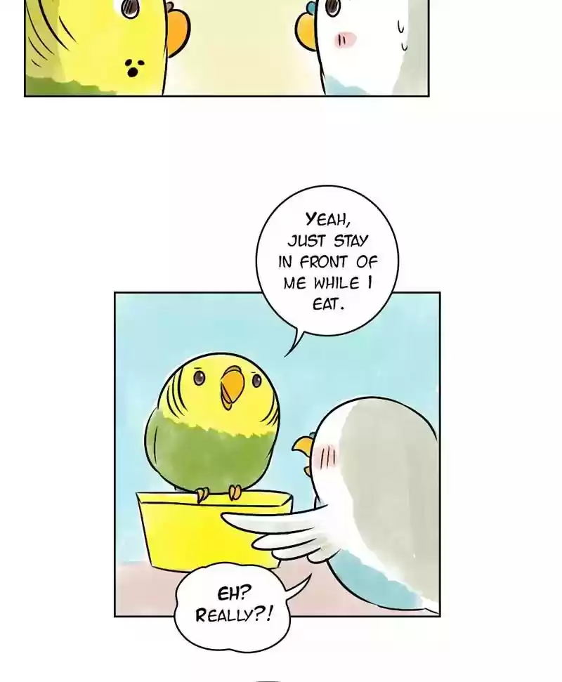 A Budgie's Life Chapter 140: Ep.140: