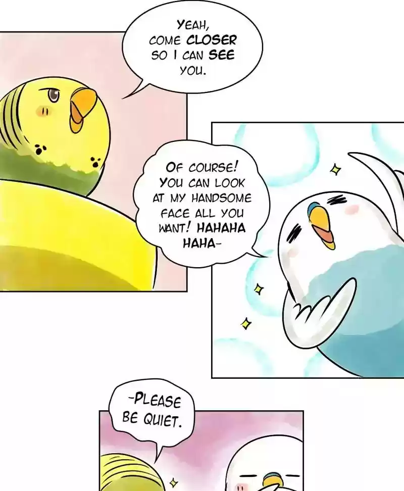 A Budgie's Life Chapter 140: Ep.140: